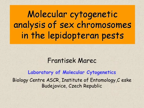 Molecular cytogenetic analysis of sex chromosomes in the lepidopteran pests