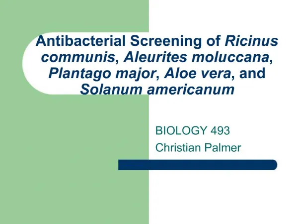 Antibacterial Screening of Ricinus communis, Aleurites moluccana, Plantago major, Aloe vera, and Solanum americanum