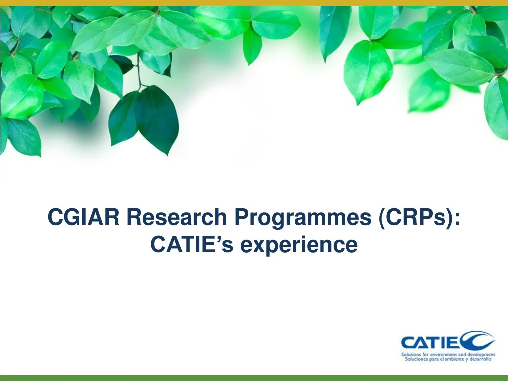 cgiar research programmes crps catie s experience