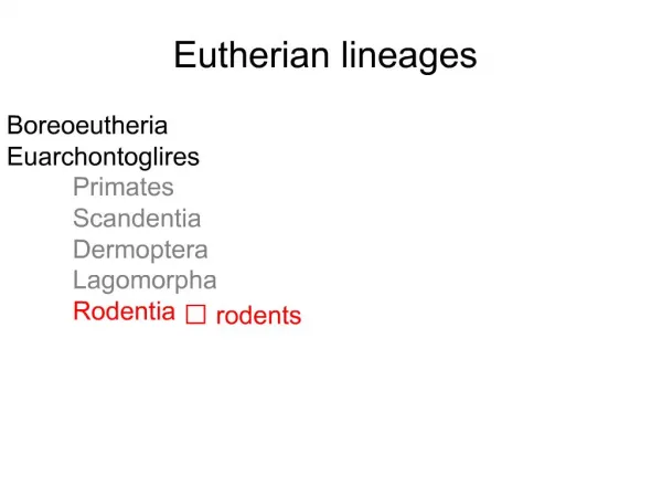 Eutherian lineages