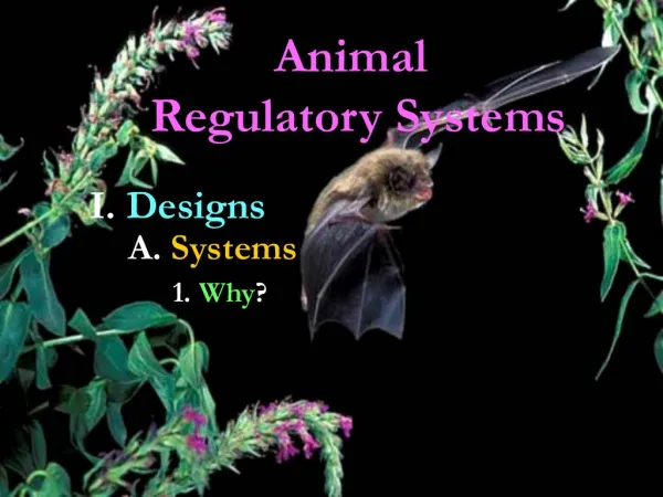 Animal Regulatory Systems