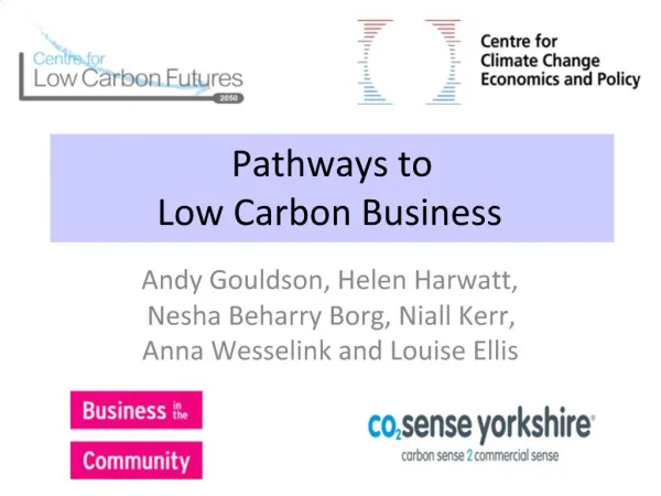 Pathways to Low Carbon Business