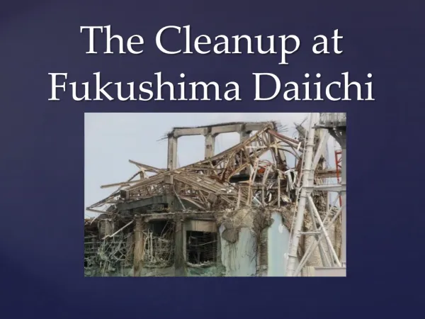 The Cleanup at Fukushima Daiichi