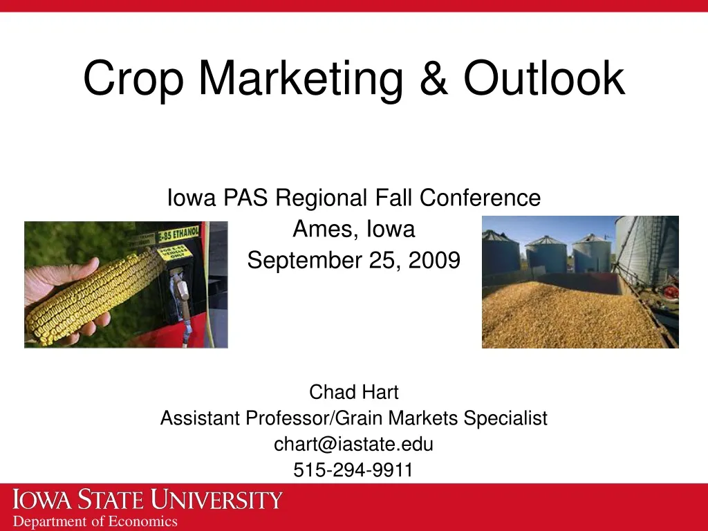crop marketing outlook