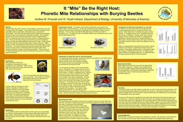 It Mite Be the Right Host: Phoretic Mite Relationships with Burying Beetles Andrew M. Prososki and W. Wyatt Hoback,