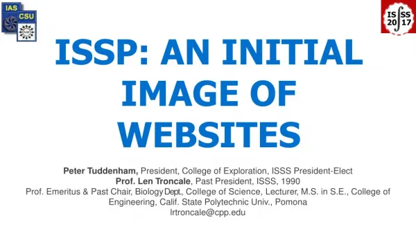 ISSP: AN INITIAL IMAGE OF WEBSITES