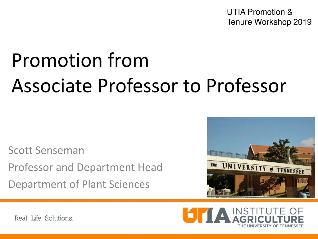 promotion from associate professor to professor