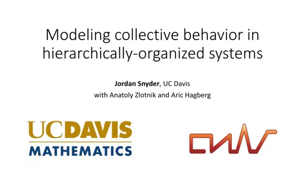 Modeling collective behavior in hierarchically-organized systems