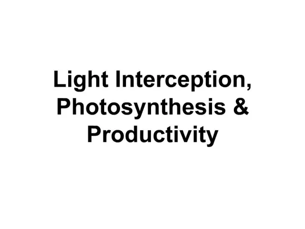 Light Interception, Photosynthesis Productivity
