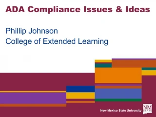 ADA Compliance Issues Ideas - slide 1