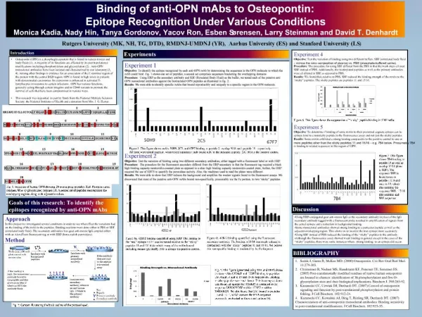 Binding of anti-OPN mAbs to Osteopontin: Epitope Recognition Under Various Conditions Monica Kadia, Nady Hin, Tanya Gor